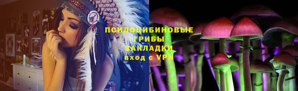 не бодяженный Елабуга