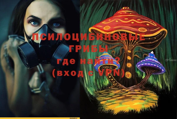 spice Бабаево