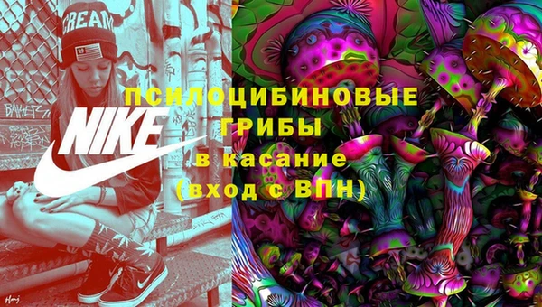 прущая мука Ельня