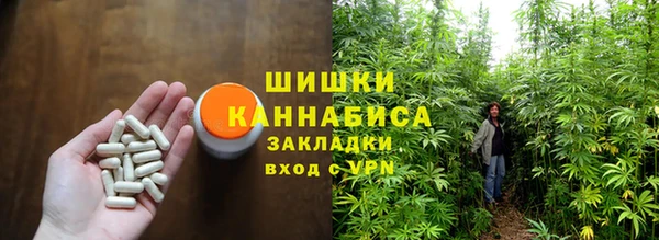 прущая мука Ельня