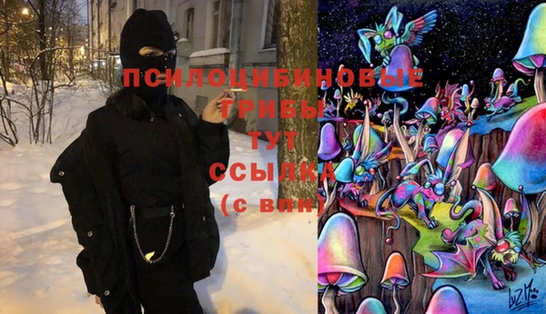 прущая мука Ельня