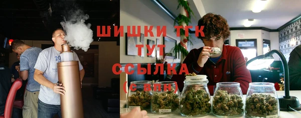 прущая мука Ельня