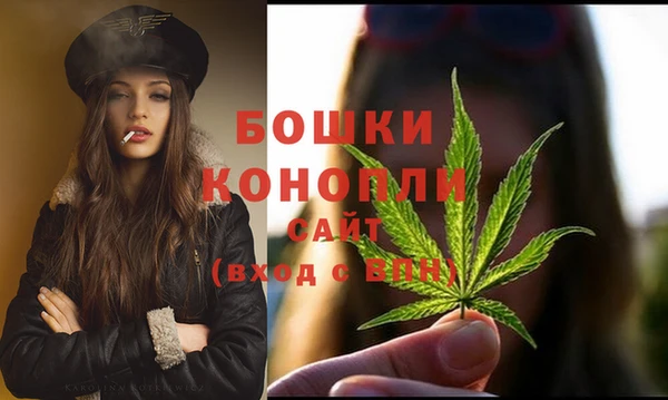 прущая мука Ельня